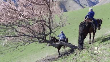 我国旅游日,中国旅游日5.19意义