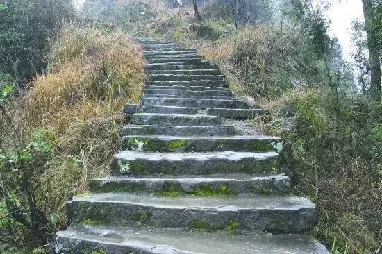 巴中有多大面积和人口,巴中和汉中差距有多大