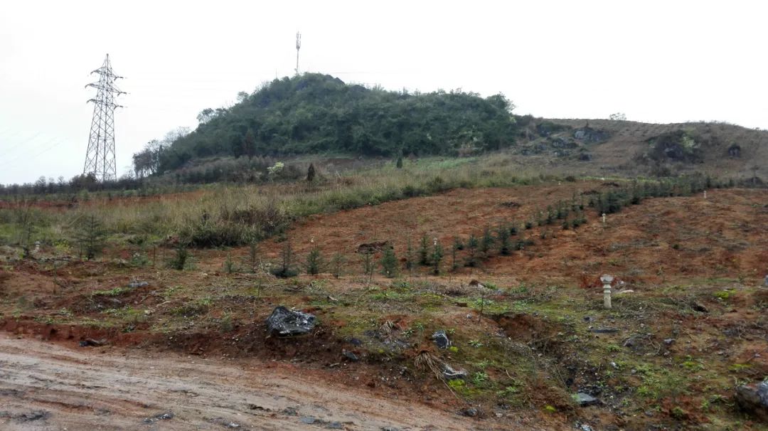 明朝大移民广西哪一县,明朝时期广西各地的名称