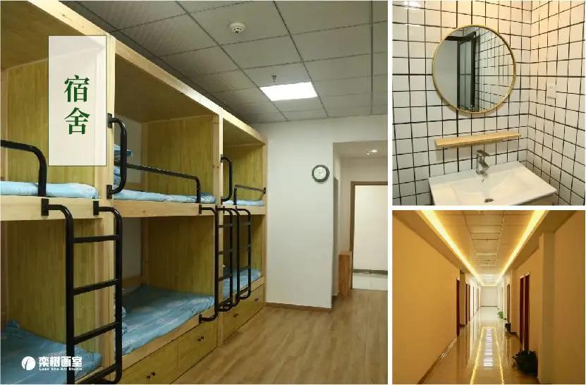 鲁美学姐聊艺考,鲁美学姐最近视频