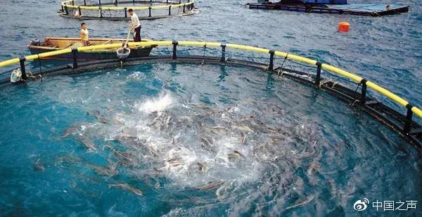 大学最冷门偏冷专业,被冷门专业录取了