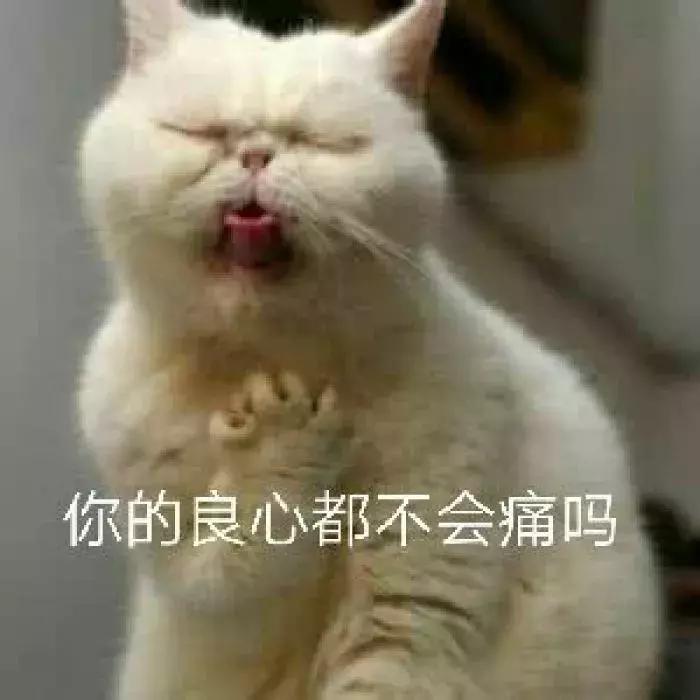 跳槽季，招不到员工？你要的人才在这里！