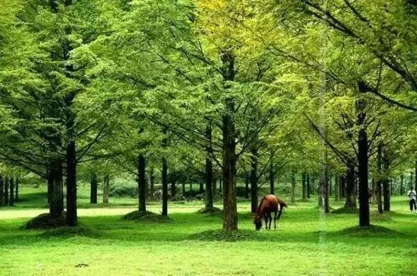 恩施，凭什么持续美哭全国，惊艳世界？