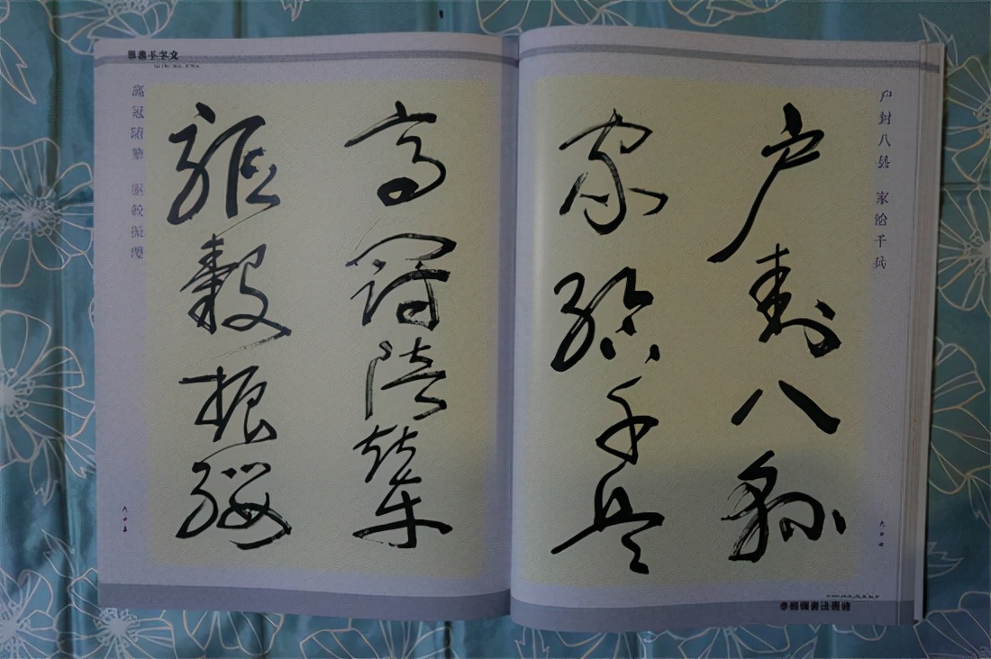 草书千字文真迹,书法千字文作品欣赏启功先生