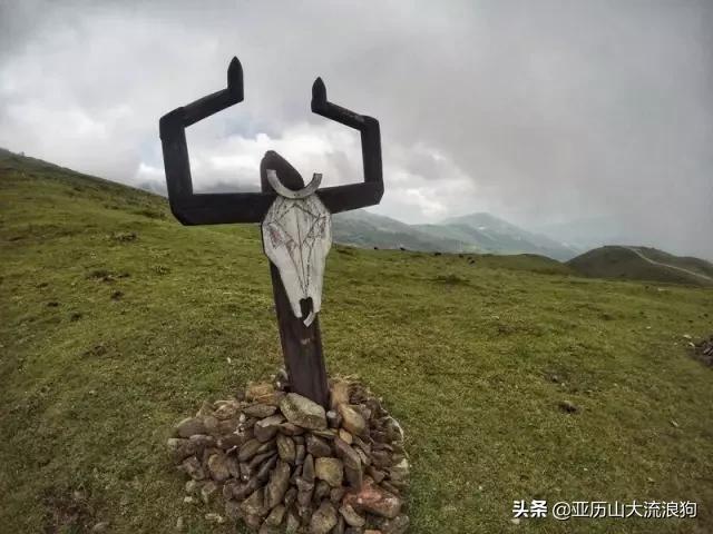 流浪云南|黑河老坡，我与驴子们的一见如故