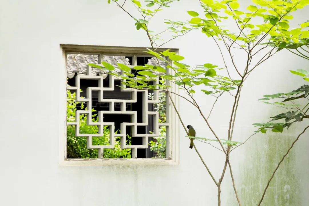 一生必背100首唐诗宋诗,一生必背的50首宋词