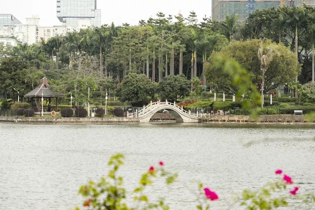 深圳好玩的地方推荐地铁4号线,深圳4号线值得玩的地方