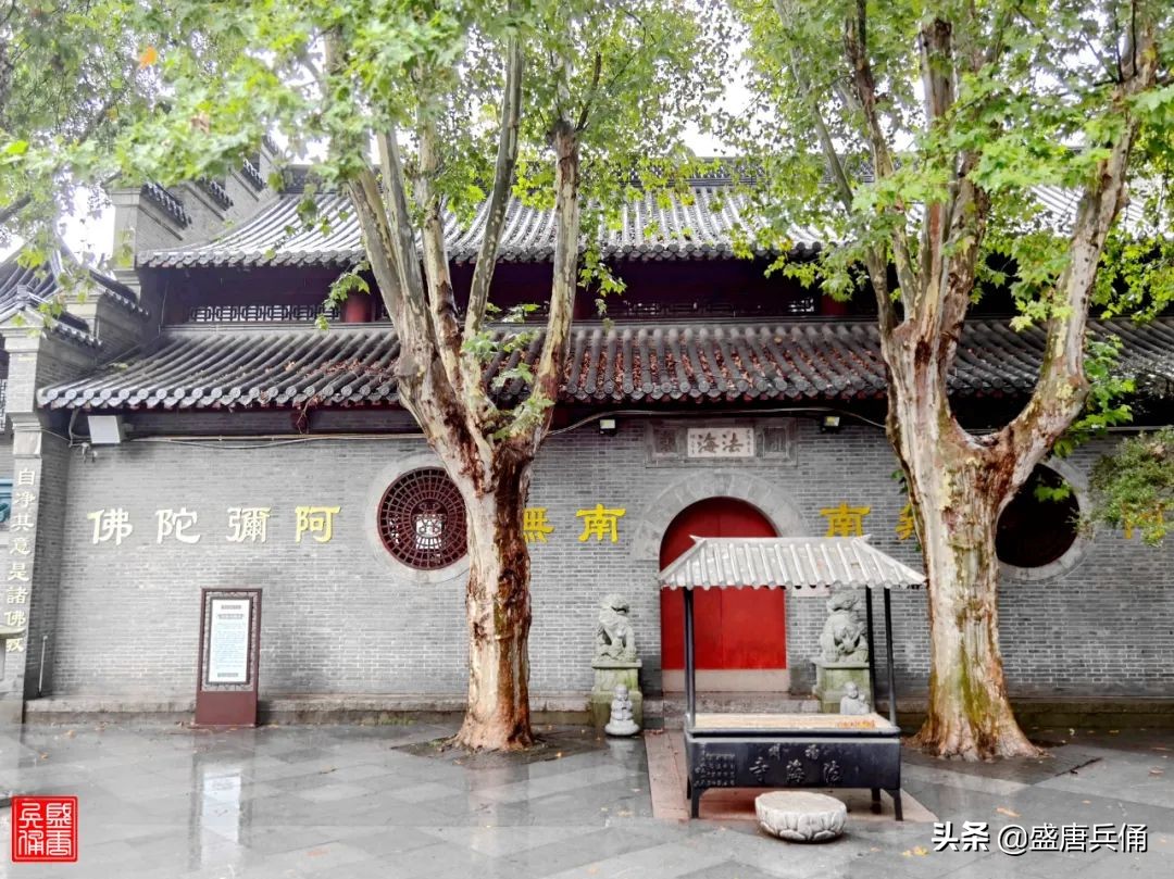 扬州｜垂杨不断接残芜，雁齿红桥俨画图