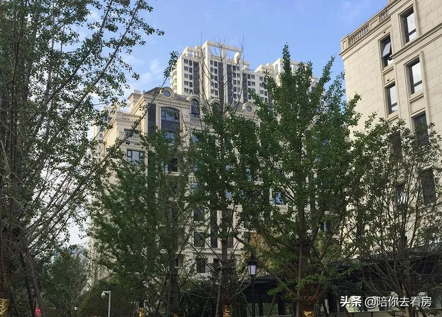 一个地市来的小开发商，打了所有大牌房企的脸