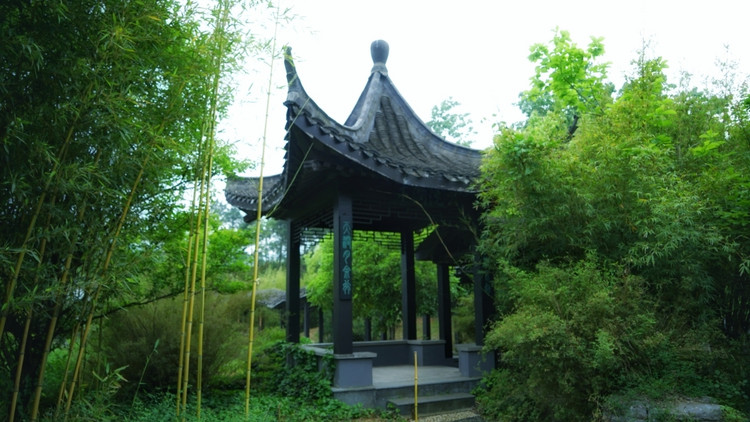 茅山宝盛园周边游玩,茅山宝盛园所有游乐设施