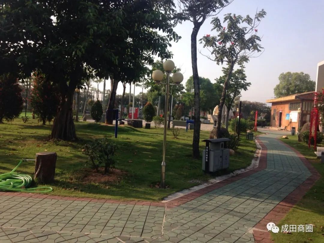 成田文体公园国庆,成田镇文体公园