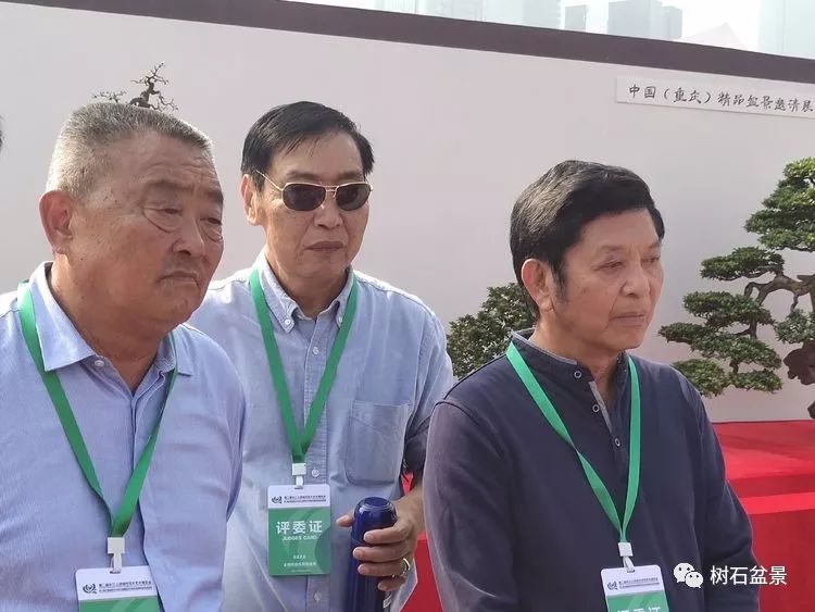 伟大使命复兴中国盆景艺术事业——2019中盆会大事回顾(下篇)