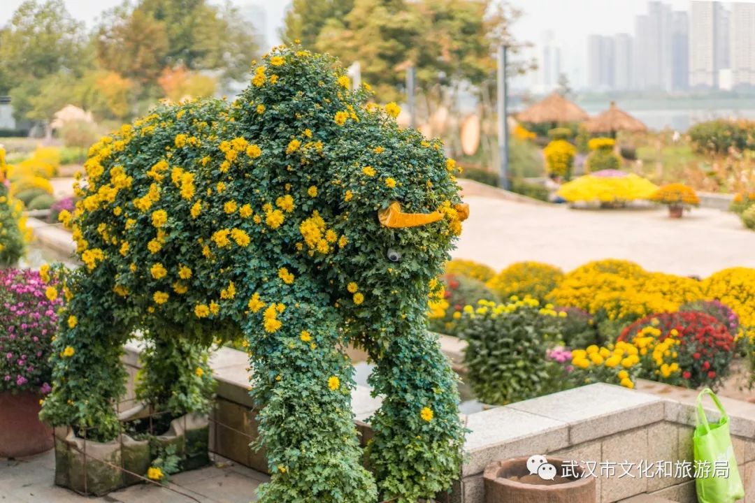 花点时间游荆门,花点时间武汉天地店
