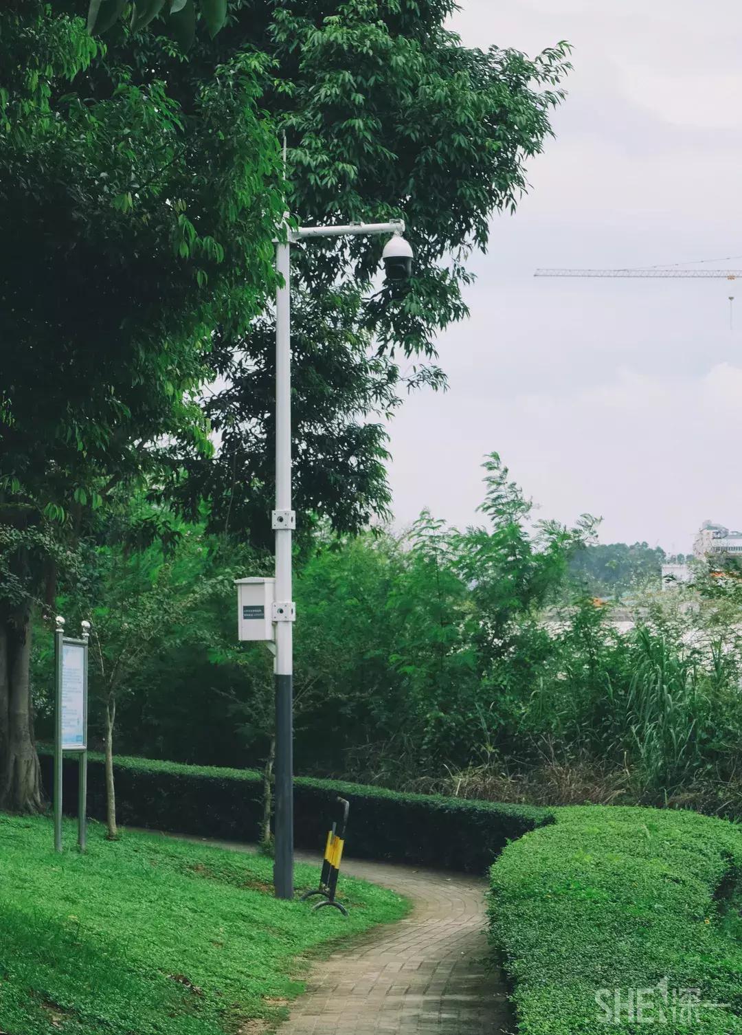 深圳市美美美,深圳最美免费水库