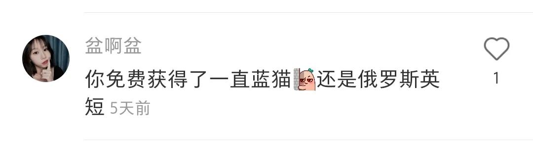 全球罕见足球猫冲上热搜，网友：指定染色！结果......哈哈哈哈