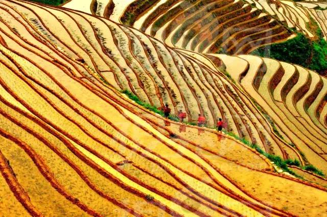 唯愿不负美景不负卿,不负美景不负卿什么意思