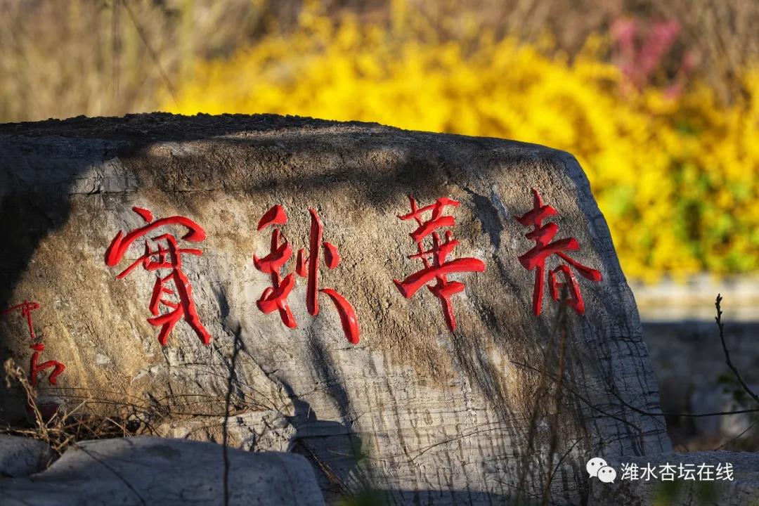 一双好朋友都考入北大，一个关于昌邑一中的温暖故事