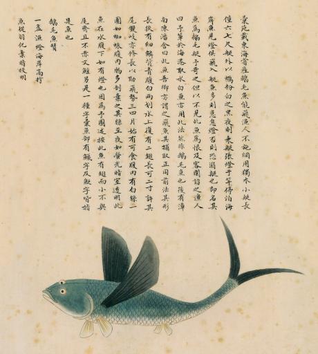 鍝楸艰兘鍦ㄦ捣闈笂婊戠繑,鑳藉湪娴烽潰涓婃粦缈旂殑鏄粈涔堥奔