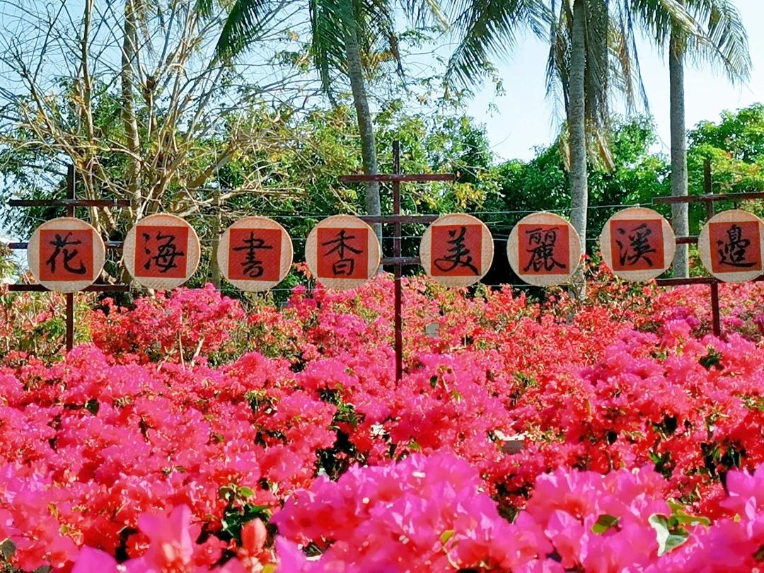 五一万宁旅游攻略自由行,万宁游玩安排