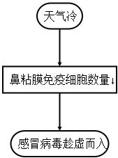 爱宠过冬知识大全,爱宠温暖过冬