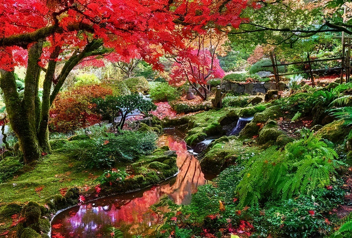 布查德花园的秋冬季,全球最美花园布查特花园