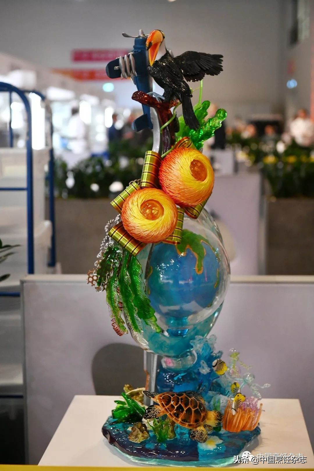 2个冠军的球队,2年总冠军