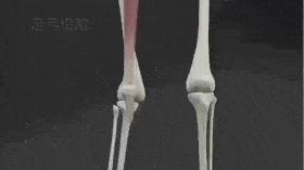 如何使腿部变得纤细,怎么让腿部变好看