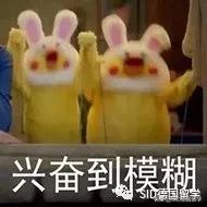 德国斯图加特大学全球排名,德国九所顶尖精英大学