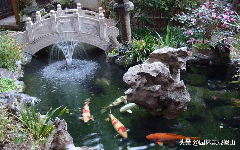 盆景假山用什么草点缀,室内景观假山鱼池绿化