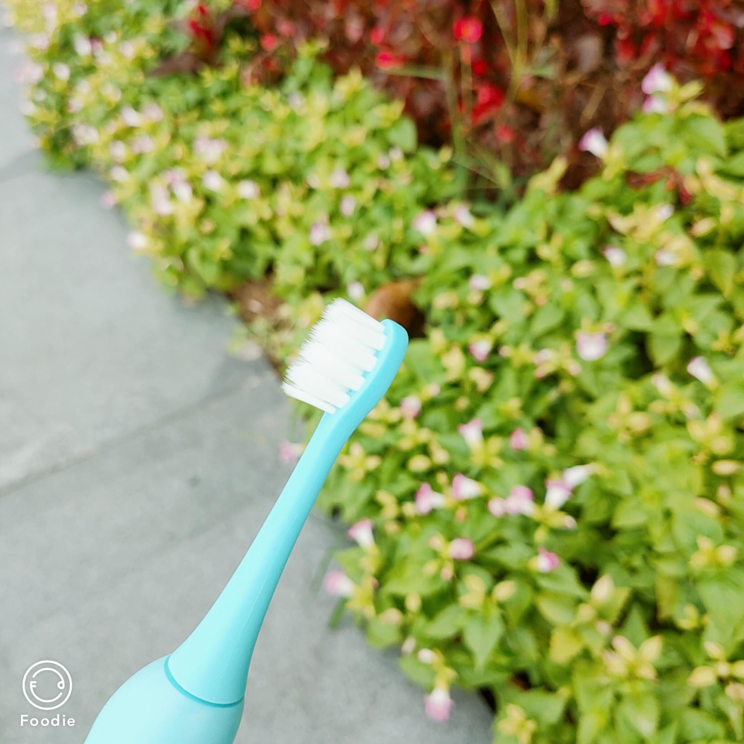 300元以内的儿童电动牙刷测评,宠物电动牙刷好不好