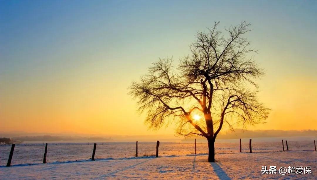 教你一招避开骗人的保险,买了这三种保险你注定是被坑了