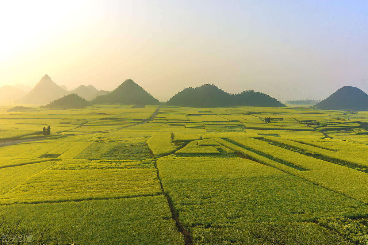 六安最新项目投资,六安最新引进的大项目