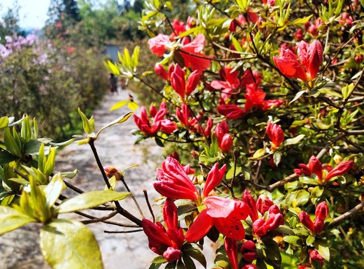 恩施文旅地产,探索湖北恩施