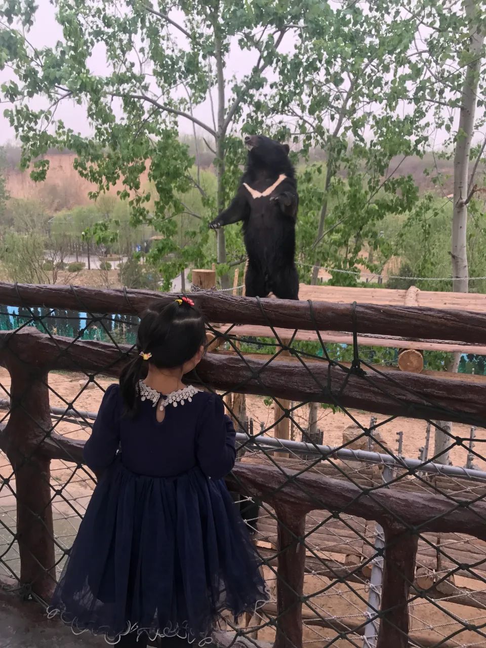 济南遛娃室内去哪里玩,济南遛娃好玩的地方