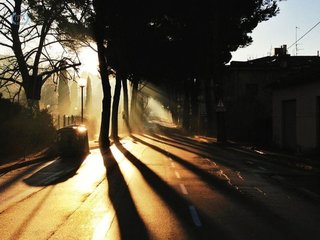 苹果年度最佳照片,iphone拍出来的照片有多惊艳