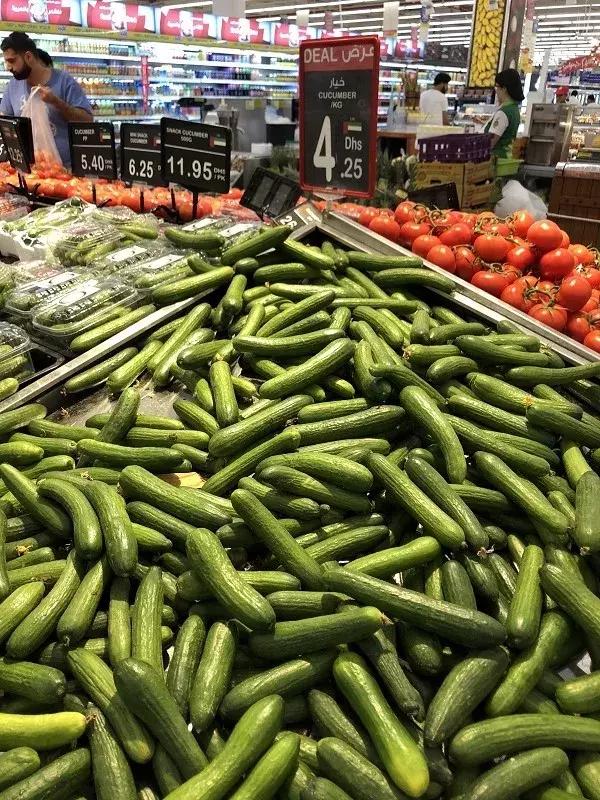 迪拜日常生活怎么样,在迪拜生活的感受