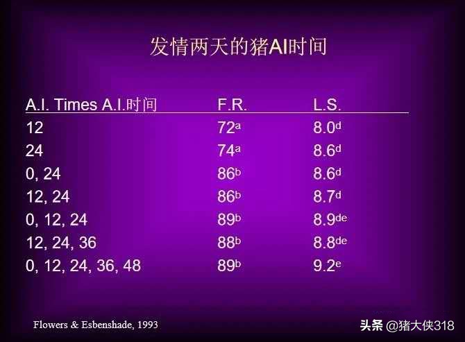 人工授精时间的把握对受胎率的影响「养猪那些事」