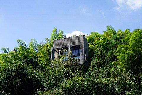 印度疫情最新真实状况,印度疫情真实记录