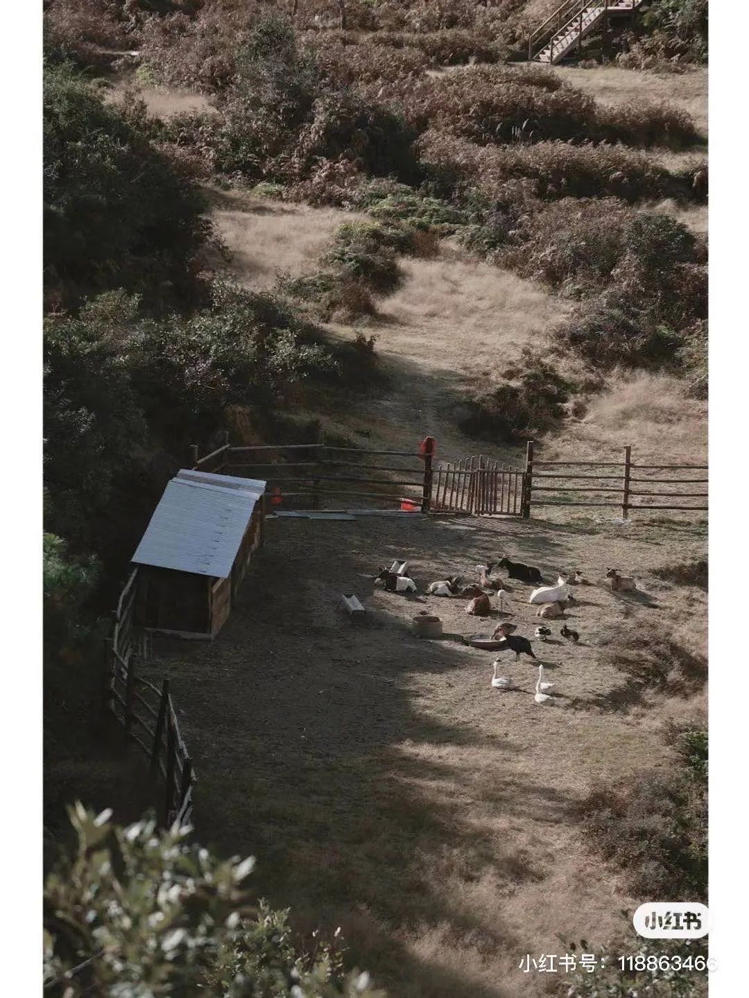 昆明避暑冷惨了外省人,昆明过冬真实感受