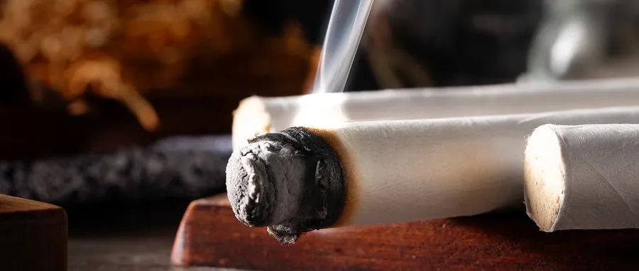 有肿瘤的人能做胸背部艾灸吗,肿瘤可以艾灸吗十种病不能用艾灸