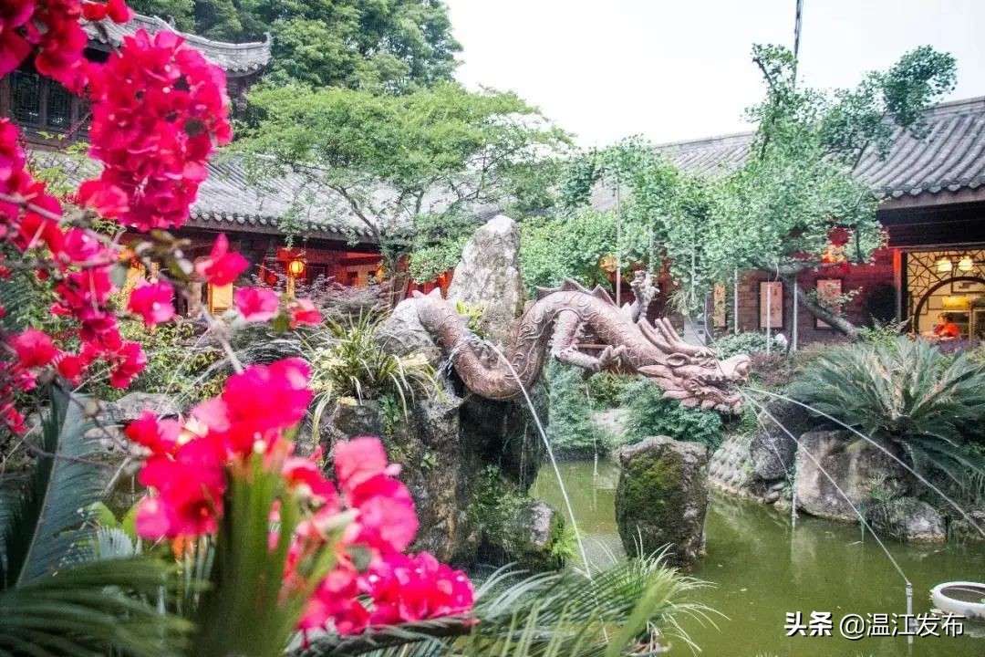 成都温江特色旅游,新旅游潮成都主题旅游目的地