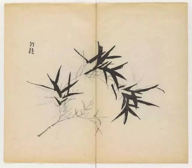 毛笔怎么画兰草,怎么画兰花和书法