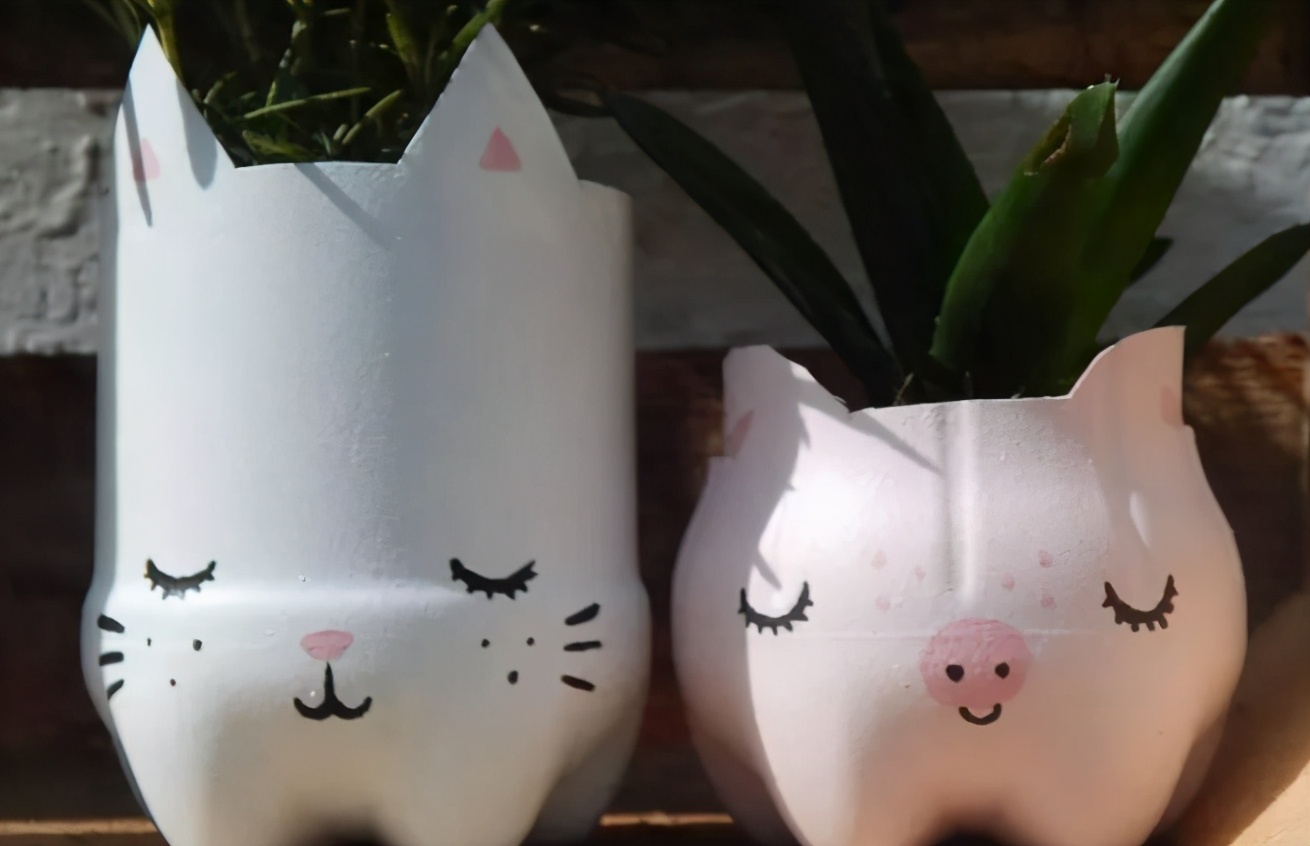 实用扦插教学让植物一盆变多盆,容易扦插成活的盆栽植物