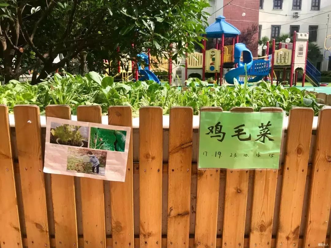 三十而已里的幼儿园,三十而已现实原型