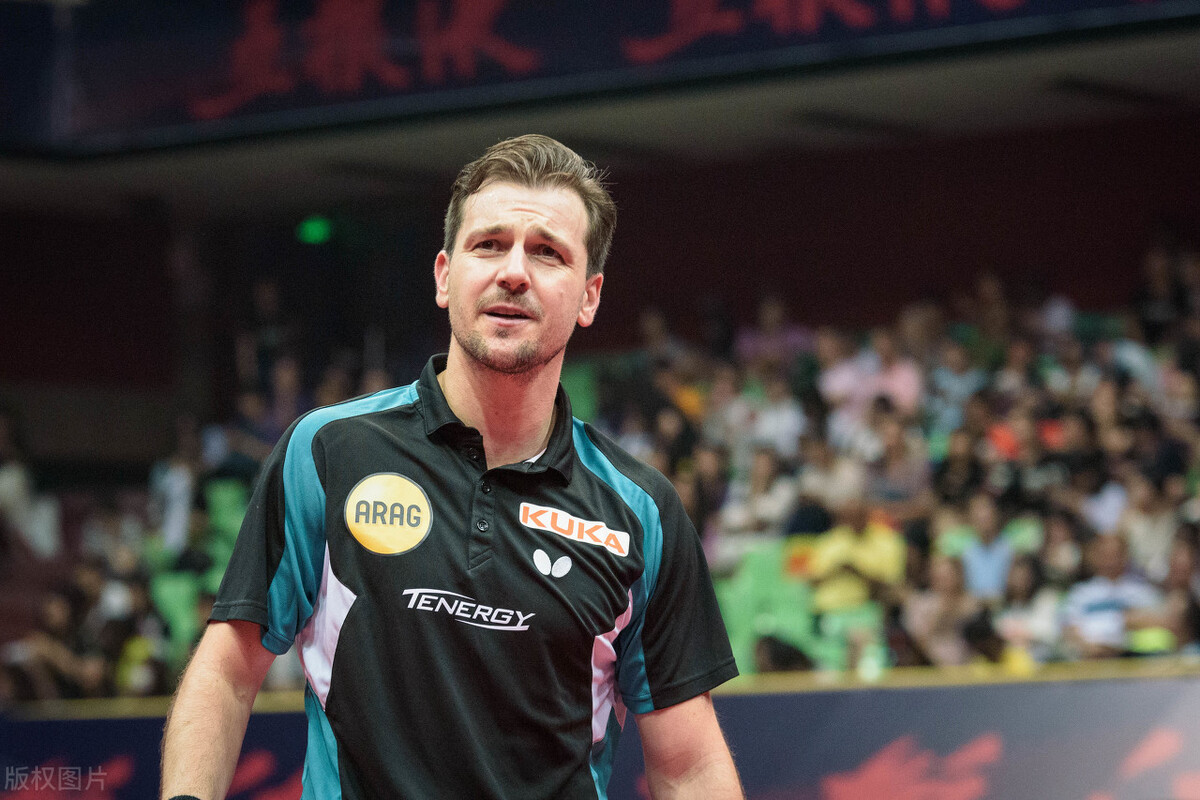 波尔为什么打不赢樊振东,波尔为什么研究太极