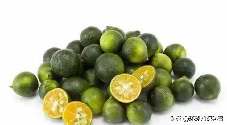 越南的奇闻奇事,越南趣闻