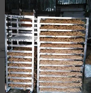 祁门红茶茶知识科普,祁门红茶跟其他红茶制作工艺区别