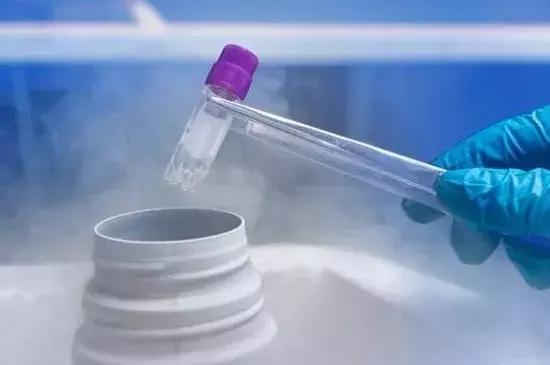 林志玲生娃是真的吗,林志玲生孩子吗