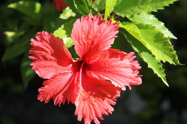 十二星座中谁最容易喜欢上白羊,十二星座复合指南白羊金牛