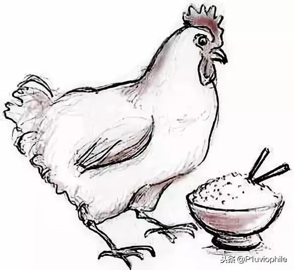 日本人以前得脚气病是什么原因,日本人为什么有脚气